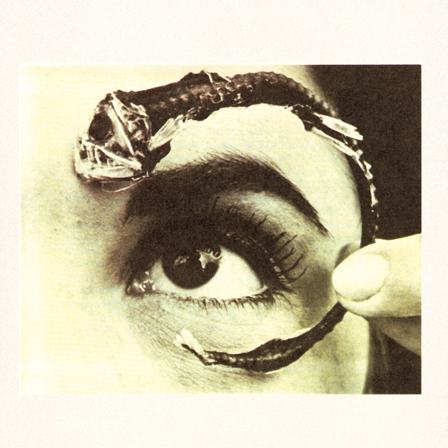 Disco Volante [Audio CD] Mr. Bungle - Very Good