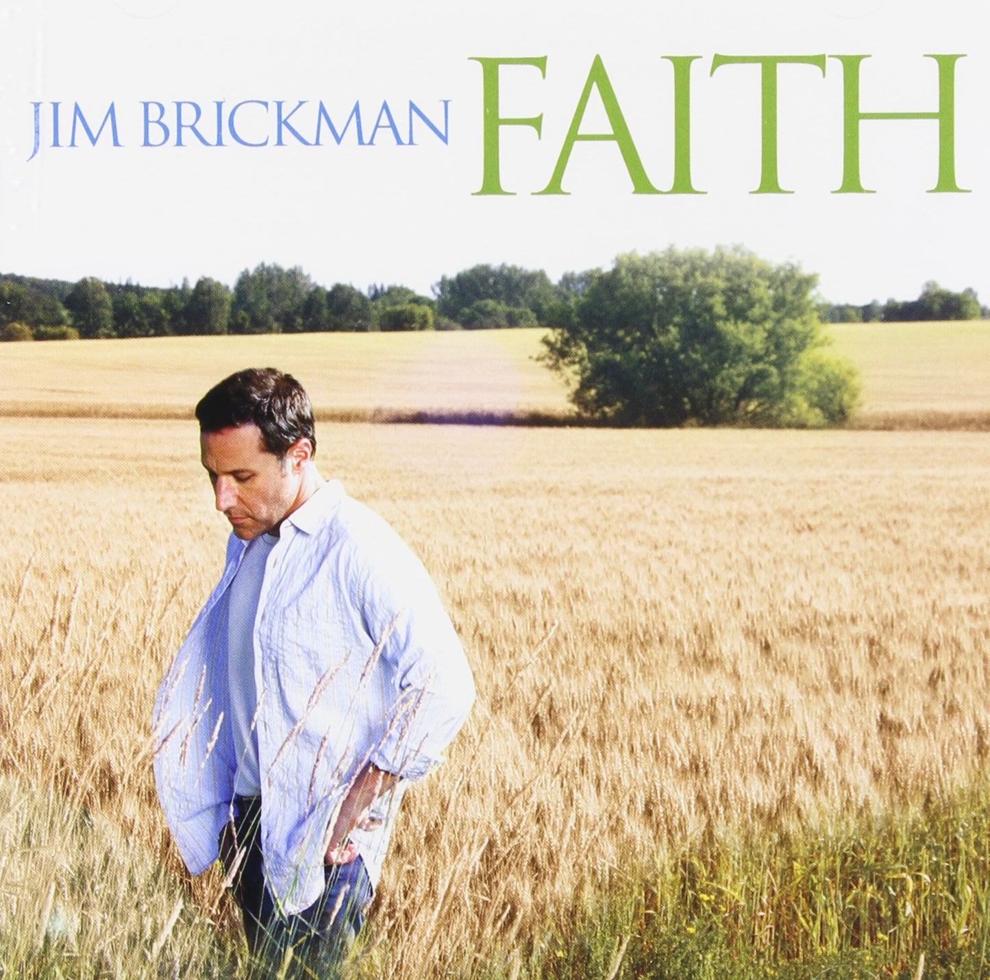 REFLECTIONS - JIM BRICKMAN-FAITH [Audio CD] REFLECTIONS - Very Good