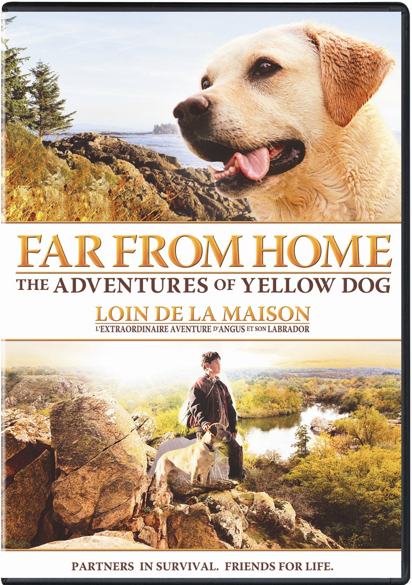 Far From Home: The Adventures of Yellow Dog (Bilingual) [DVD] - Good