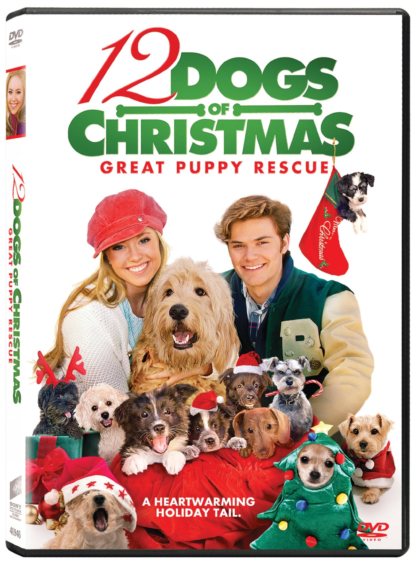 12 Dogs of Christmas: Great Puppy Rescue (Sous-titres fran�ais) [DVD]