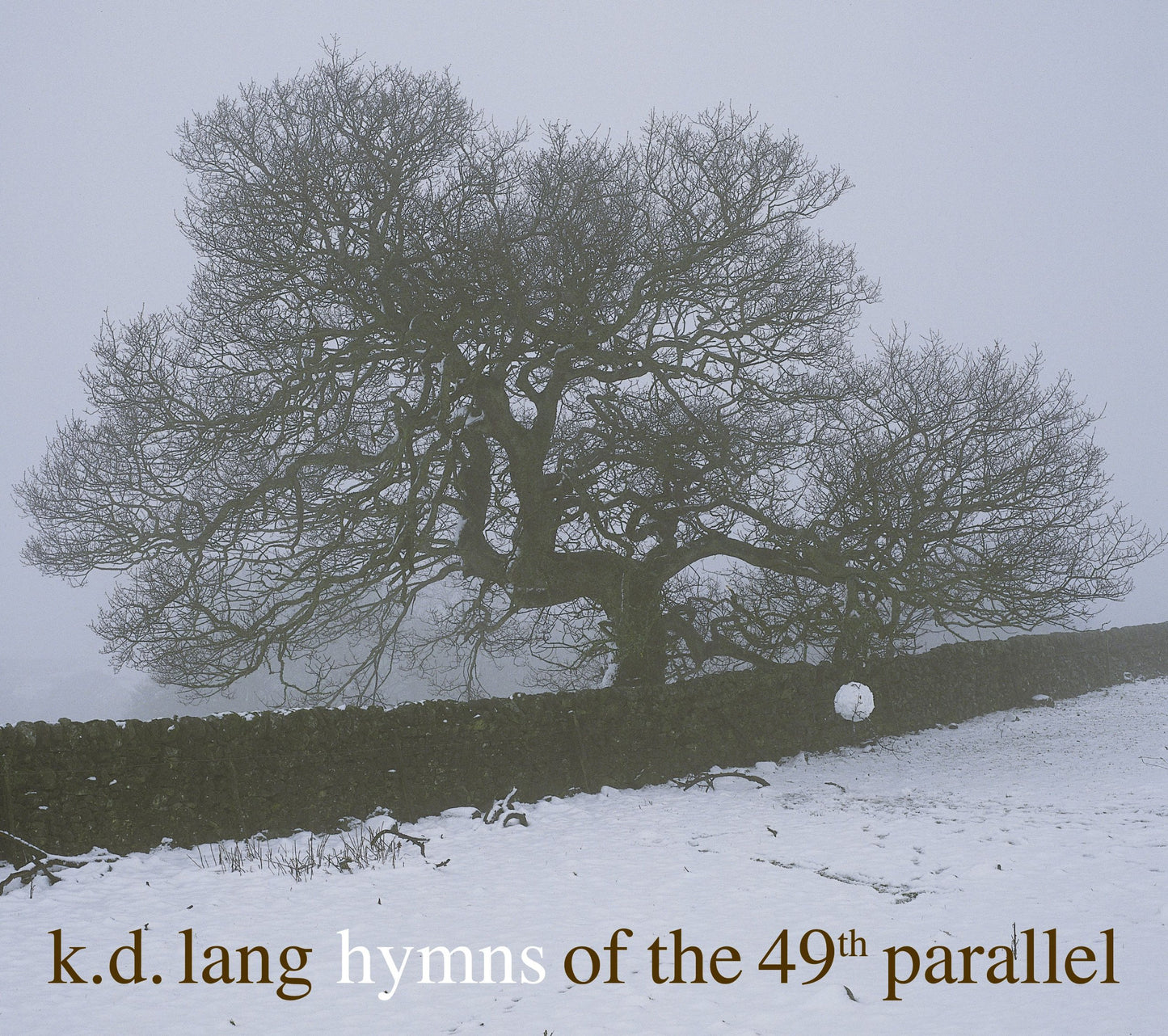 Hymns of the 49th Parallel [Audio CD] k.d. lang & the reclines - Good