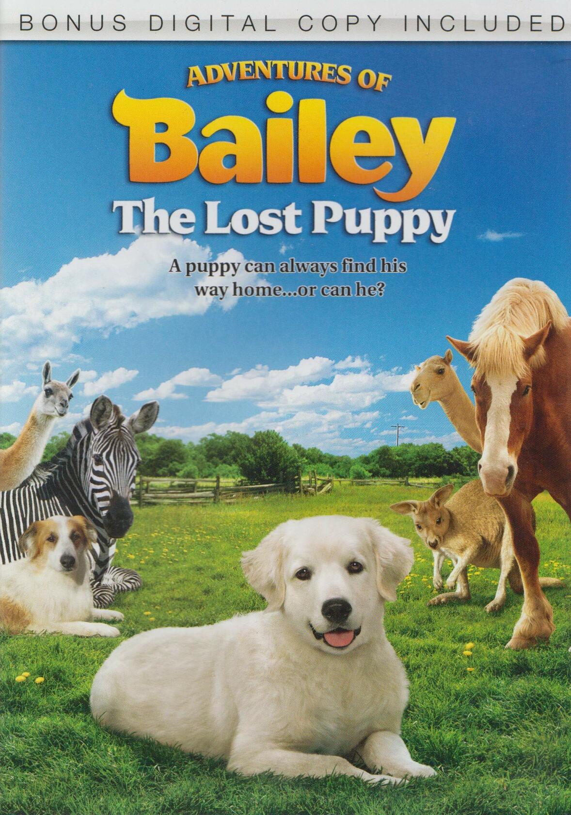 ADVENTURES OF BAILEY:THE LOST PUPPY [DVD] - Very Good