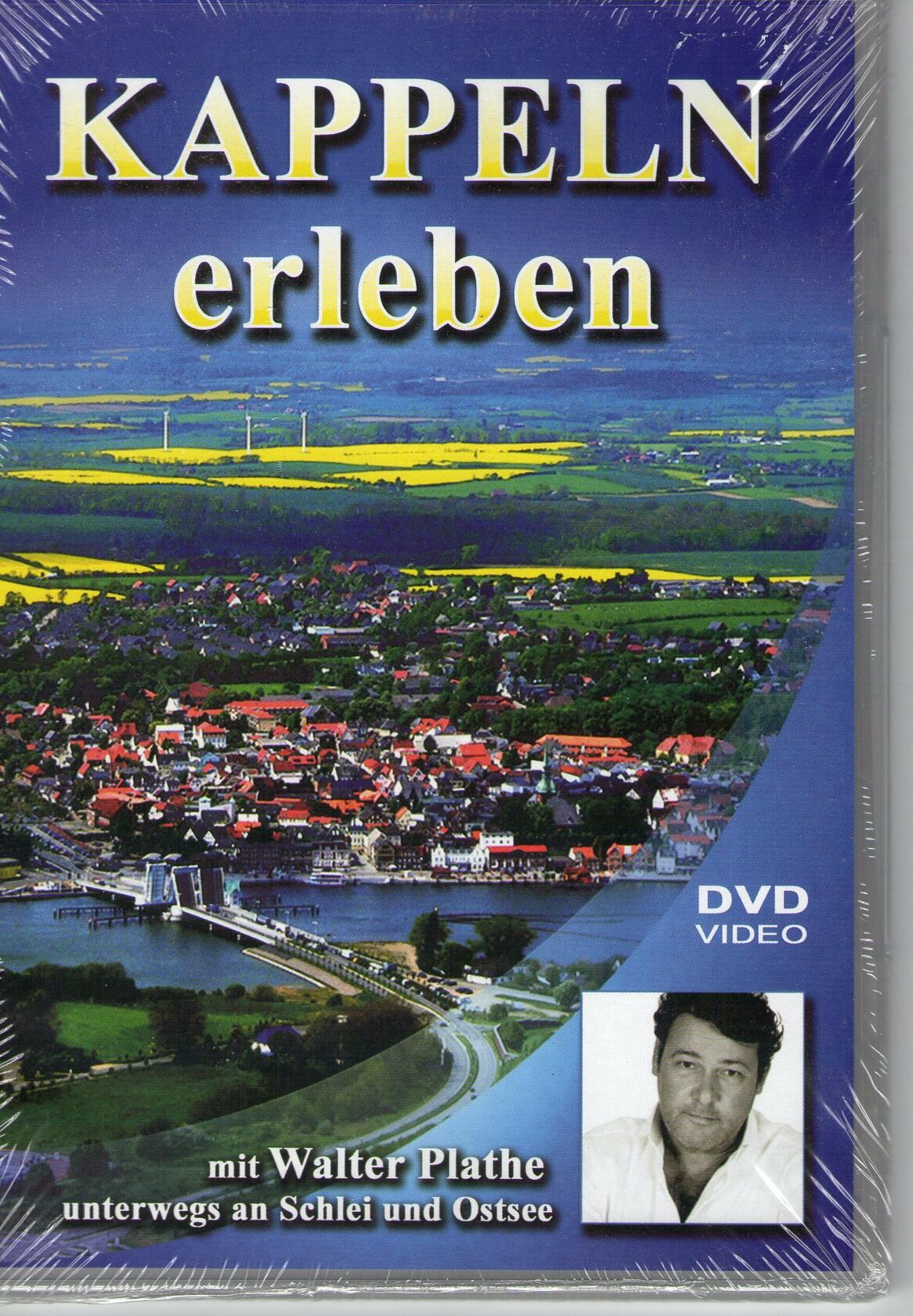 Forty-form of Chen-style Taiji Single Broadsword (The Demonstrations and Principles of Attack and Defence) - Practical Application of Chen-style Taiji Quan and Weapon Series - Good