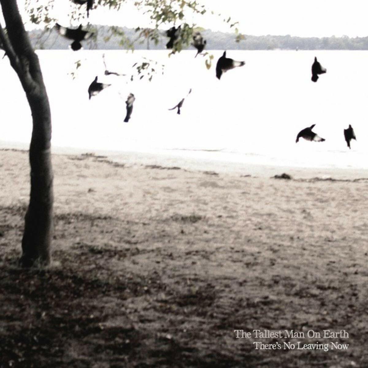 There's No Leaving Now [Audio CD] The Tallest Man on Earth - Very Good