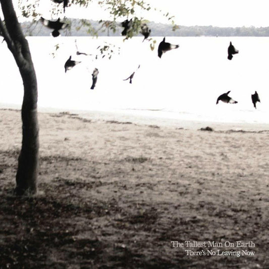 There's No Leaving Now [Audio CD] The Tallest Man on Earth - Very Good