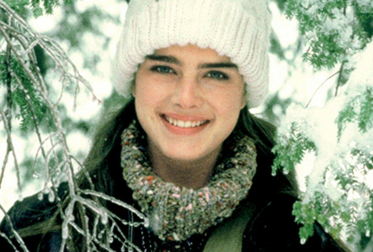 Endless Love (1981) / Un amour infini (Bilingual) [DVD] - Very Good