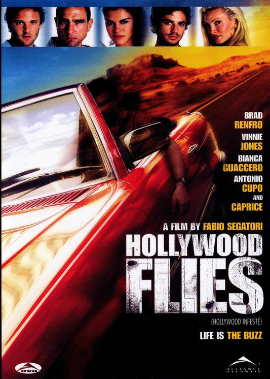 Hollywood Flies [DVD] - Good