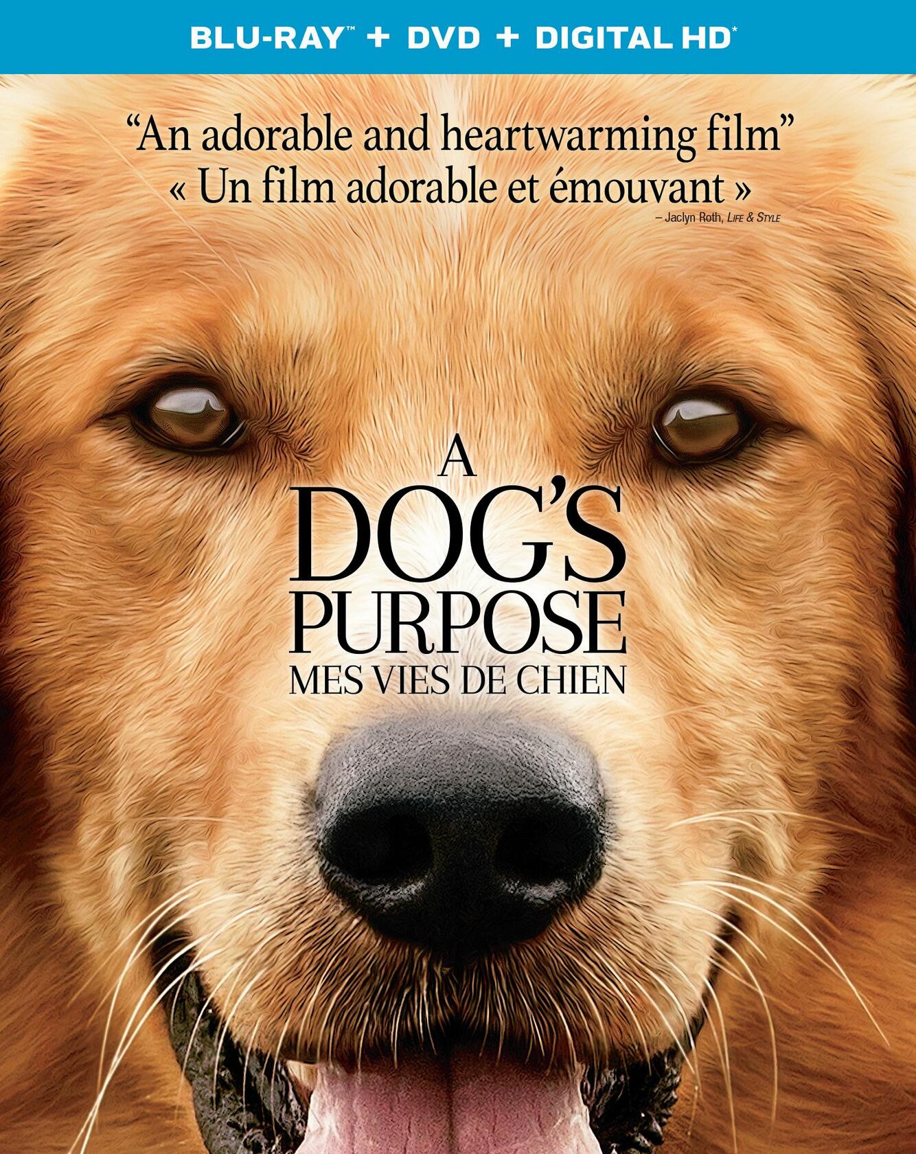A Dog’s Purpose [Blu-ray + DVD + HD] (Bilingual) - Very Good