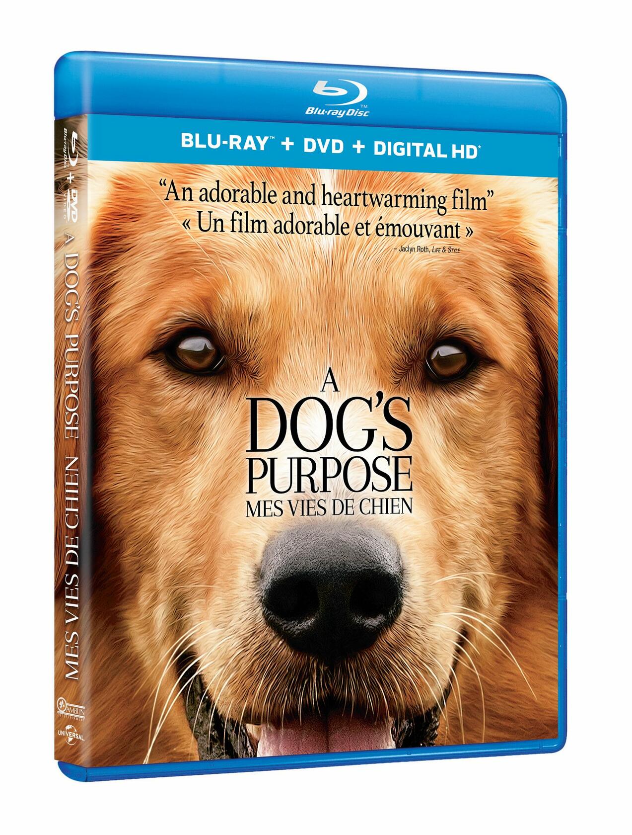 A Dog’s Purpose [Blu-ray + DVD + HD] (Bilingual) - Very Good