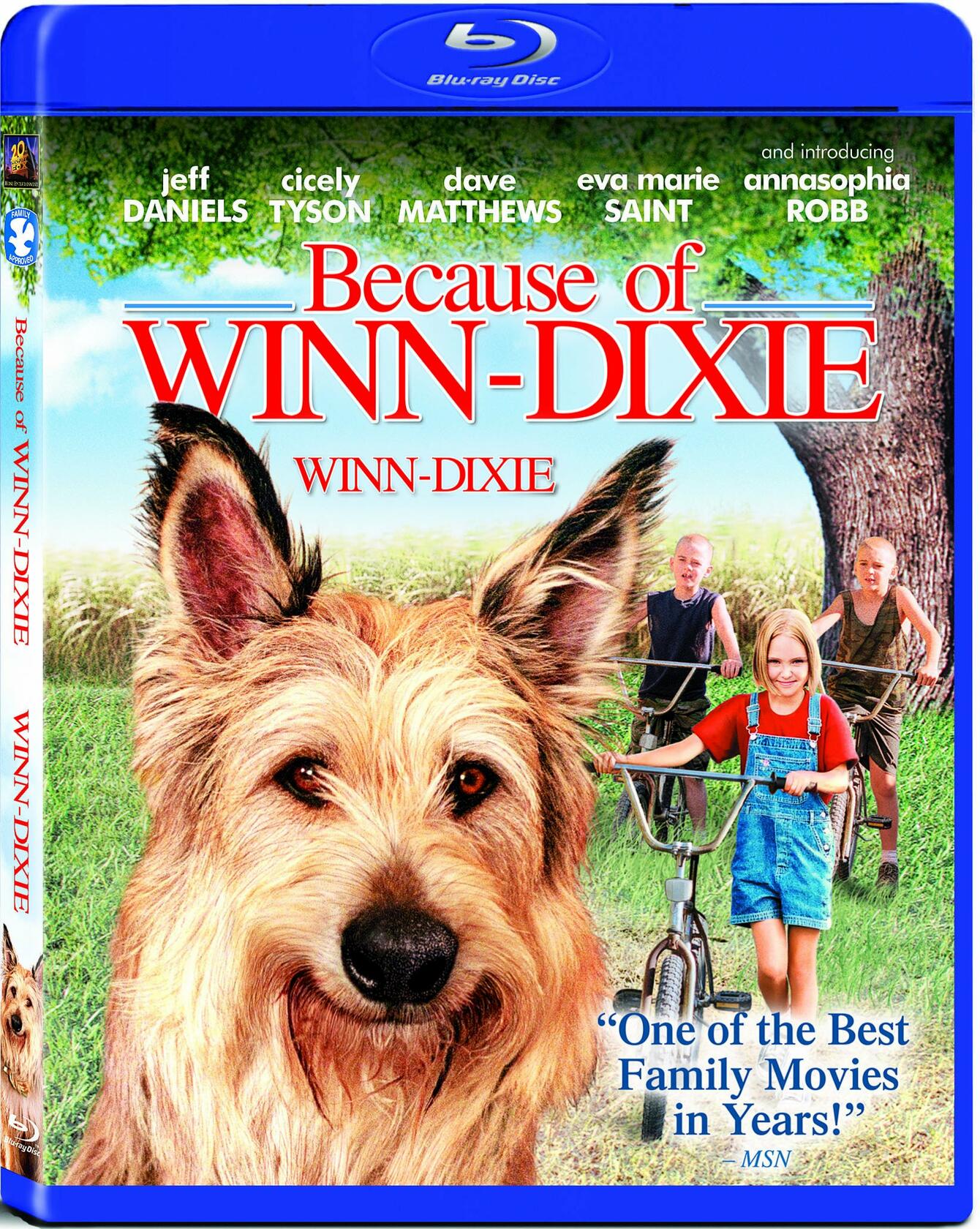 Because of Winn-Dixie [Blu-ray] [Blu-ray] - Very Good