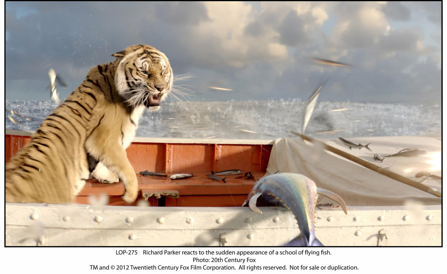 Life of Pi - L'histoire de Pi [Blu-ray + DVD + Digital Copy] (Bilingual) [Blu-ray] - Very Good