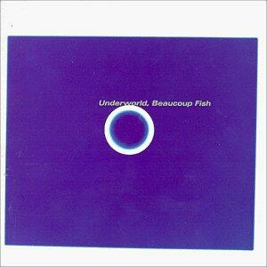 Beaucoup Fish [Audio CD] Underworld - Good