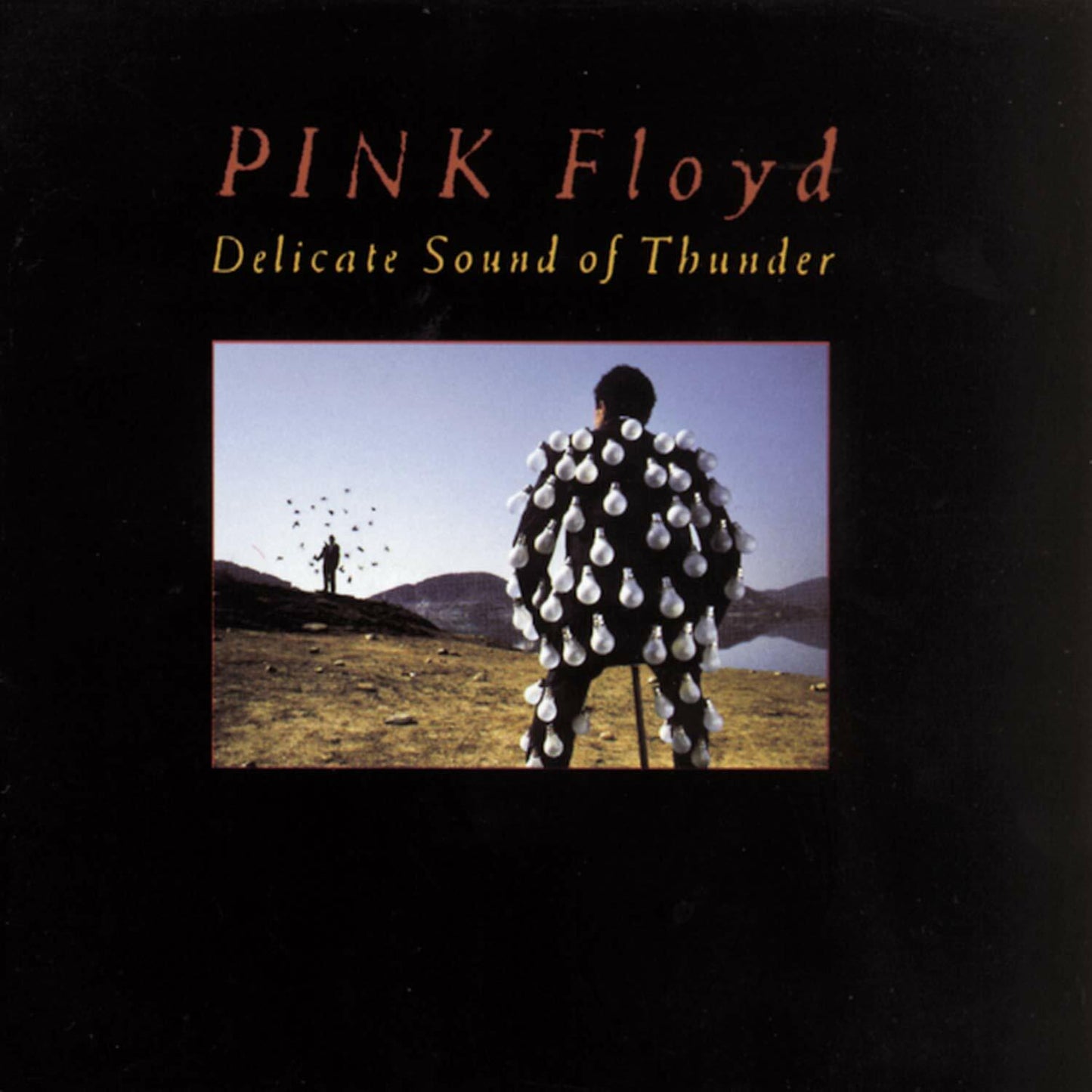 Delicate Sound Of Thunder [Audio CD] - Good