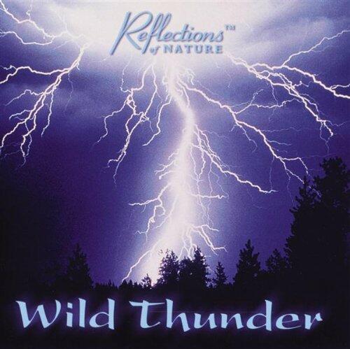 Wild Thunder [Audio CD] - Very Good