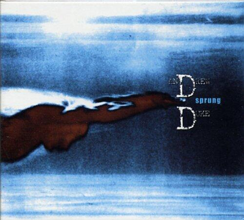 DUKE;ANDREW - SPRUNG [Audio CD] DUKE;ANDREW