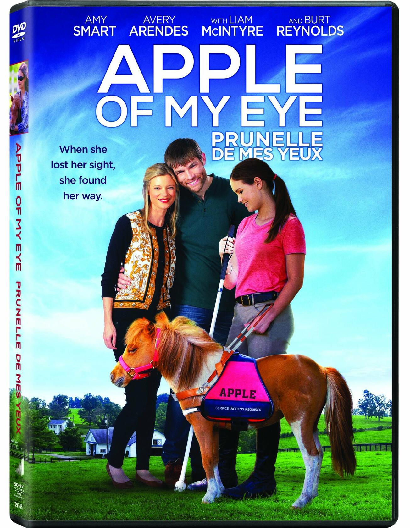 Apple of My Eye (Bilingual) [DVD] - Acceptable