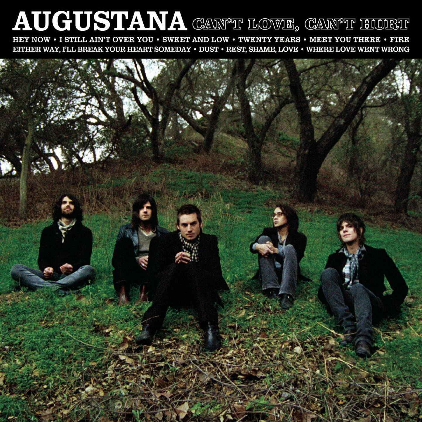 Can'T Love, Can'T Hurt [Audio CD] Augustana - Very Good