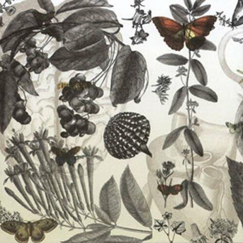 Sweet Mental [Audio CD] - Very Good