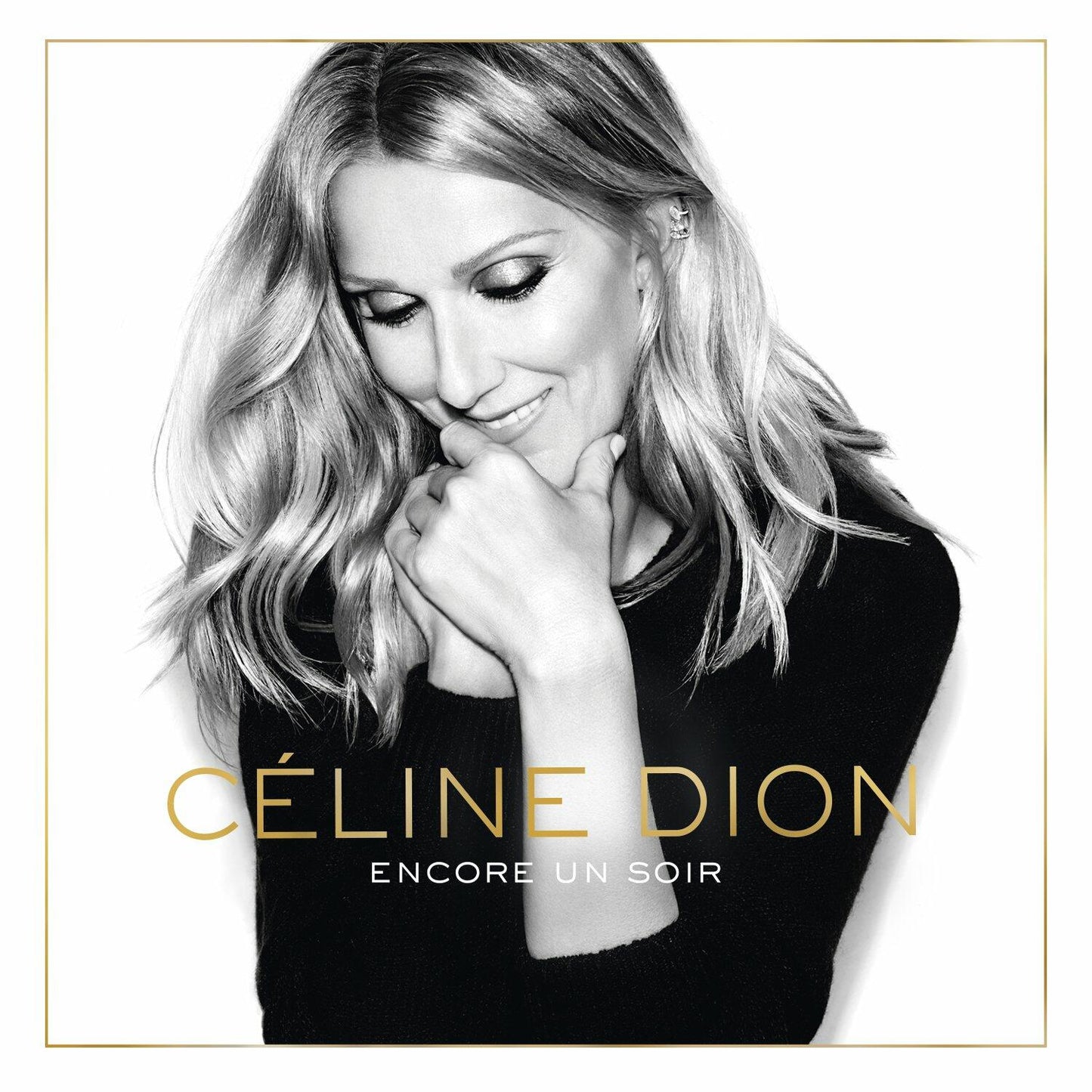 Encore Un Soir [Audio CD] Celine Dion; Multi-Artistes and Franck Van Der Heijden - Good