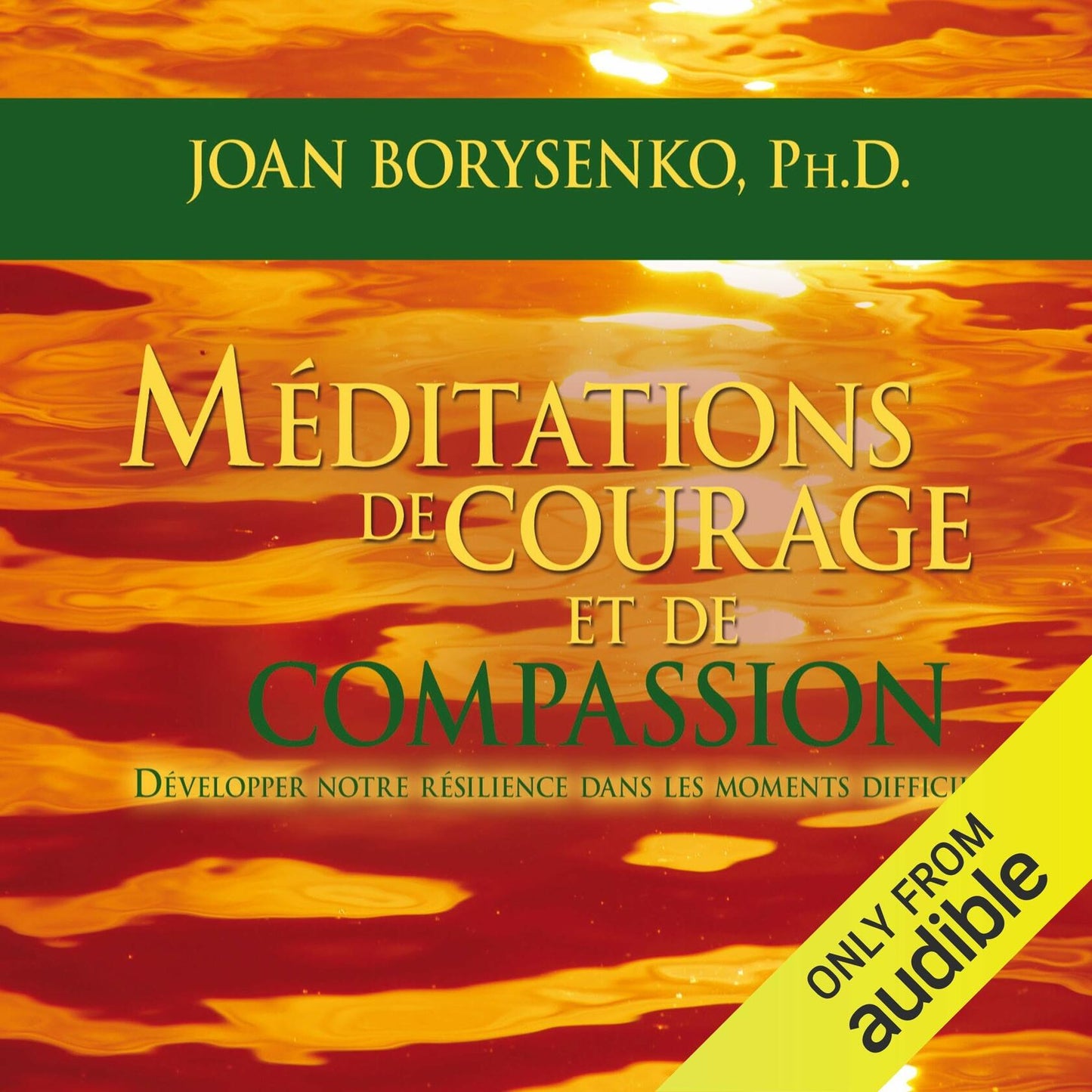Meditations de courage et de compassion Borysenko, Joan Z.