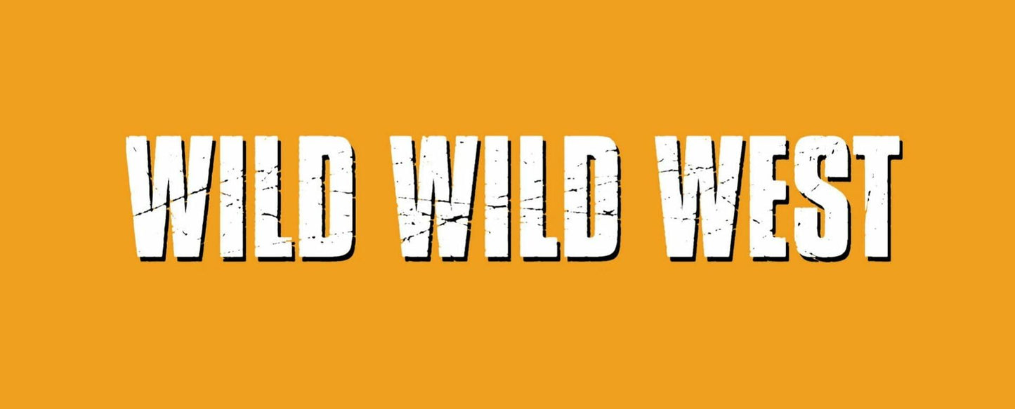 Wild Wild West (Keepcase) [DVD]