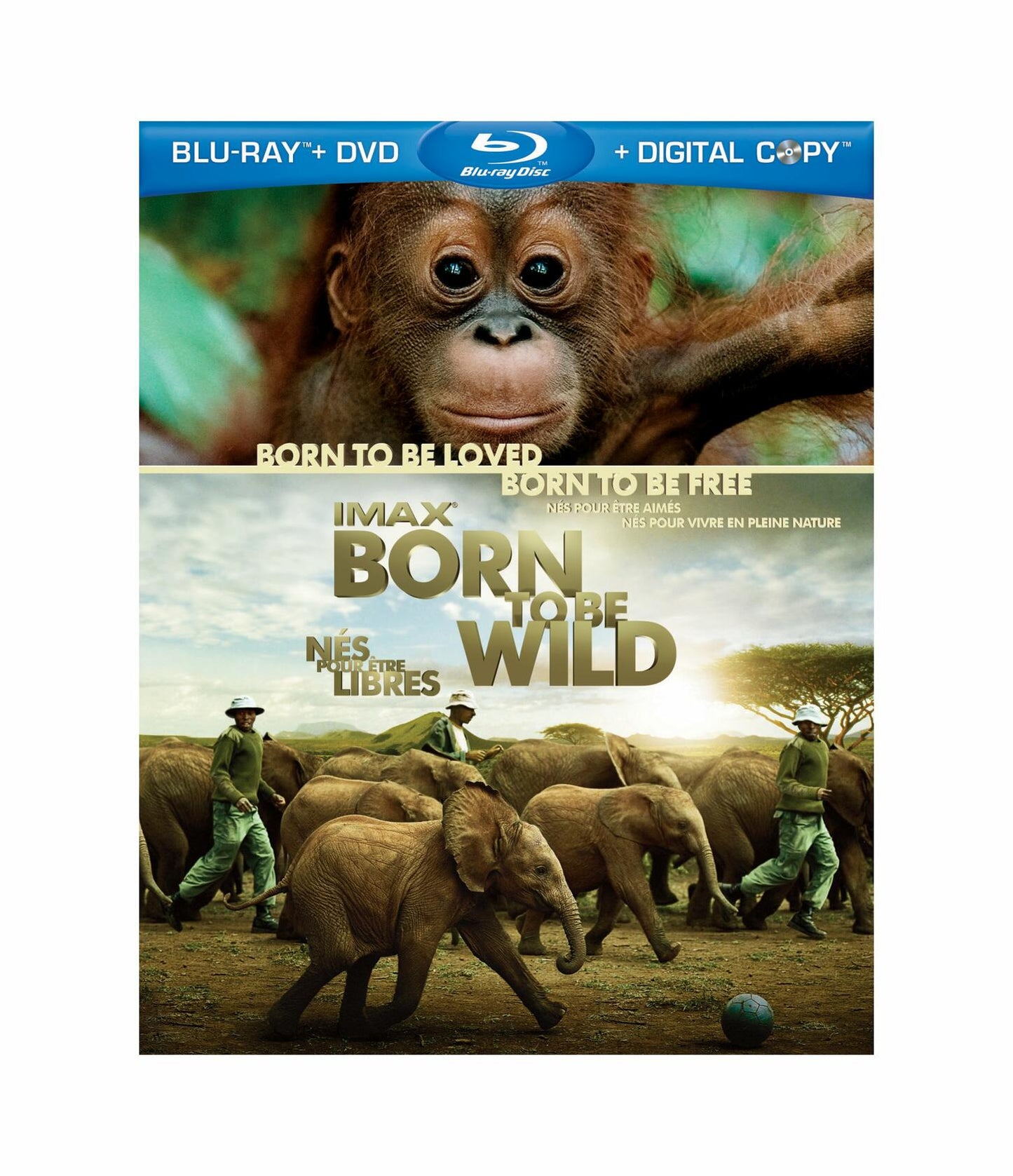 IMAX: Born to Be Wild (Bilingual) [Blu-ray + DVD + Digital Copy] [Blu-ray] - Very Good