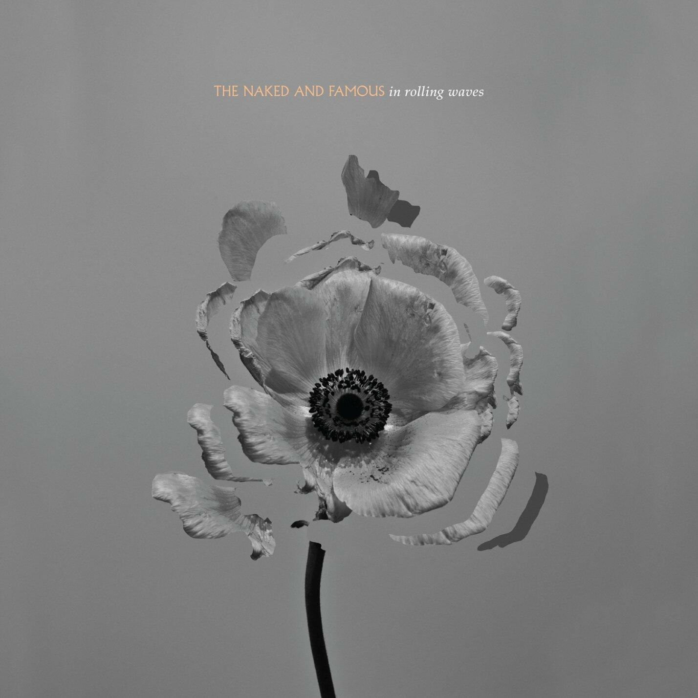 In Rolling Waves [Audio CD] The Naked & Famous