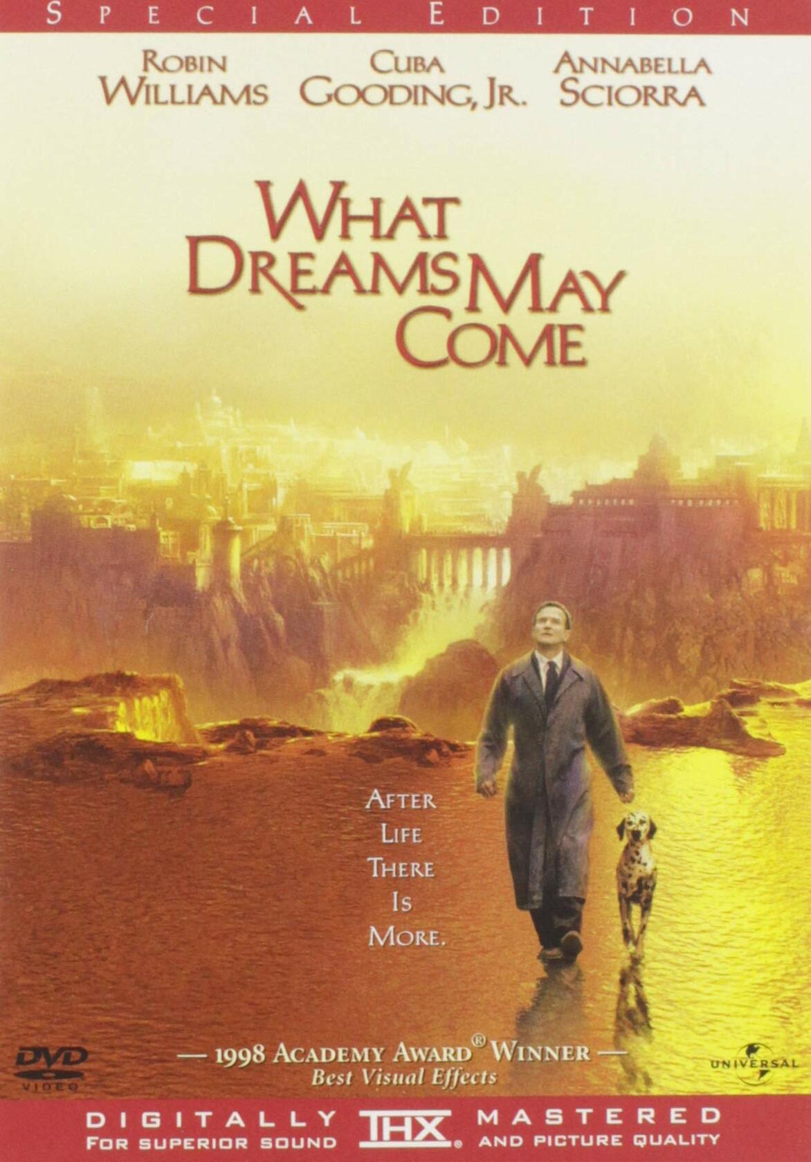 What Dreams May Come (Widescreen) [DVD] - Good