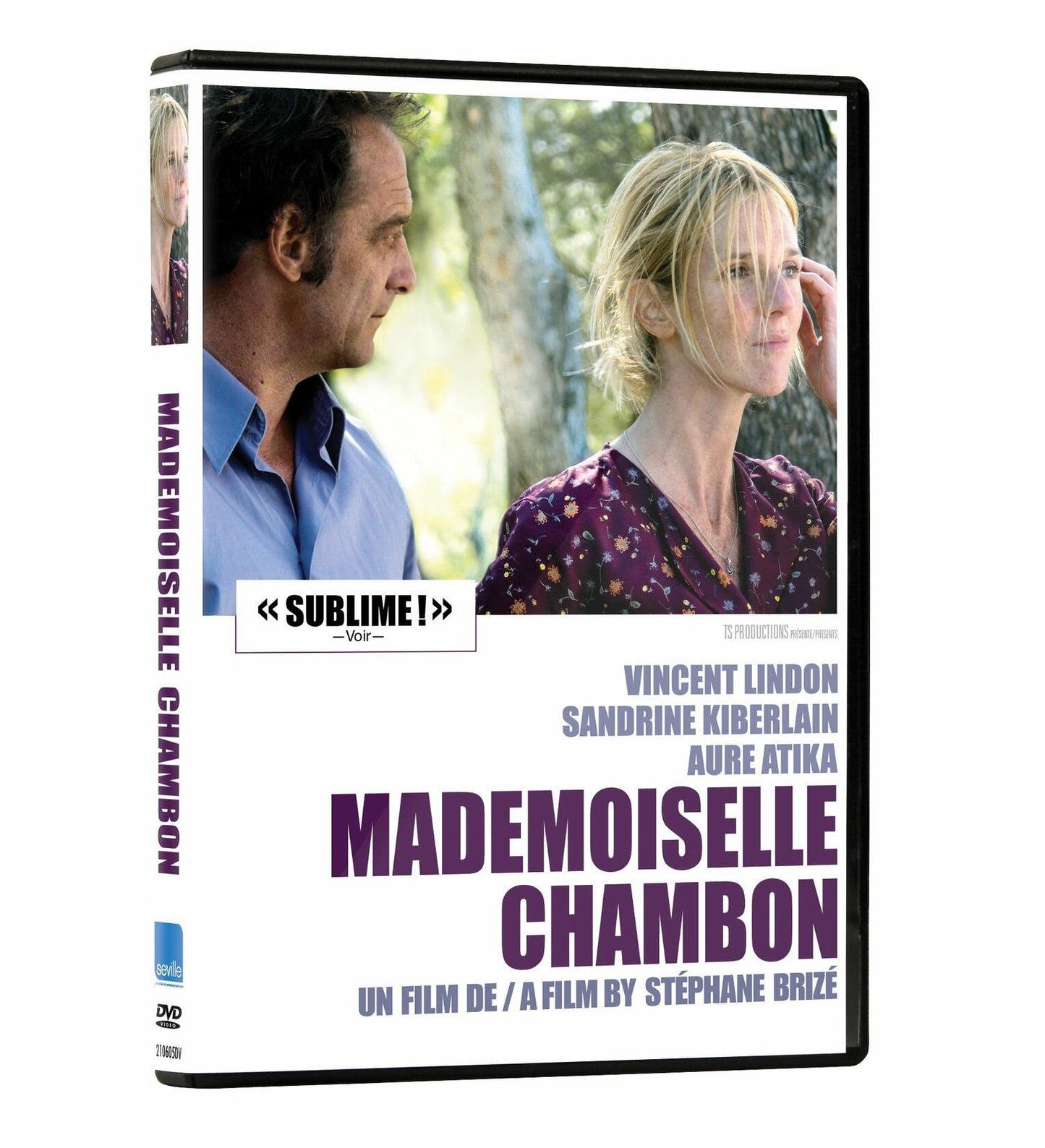 Mademoiselle Chambon (Bilingual) [DVD] - Good