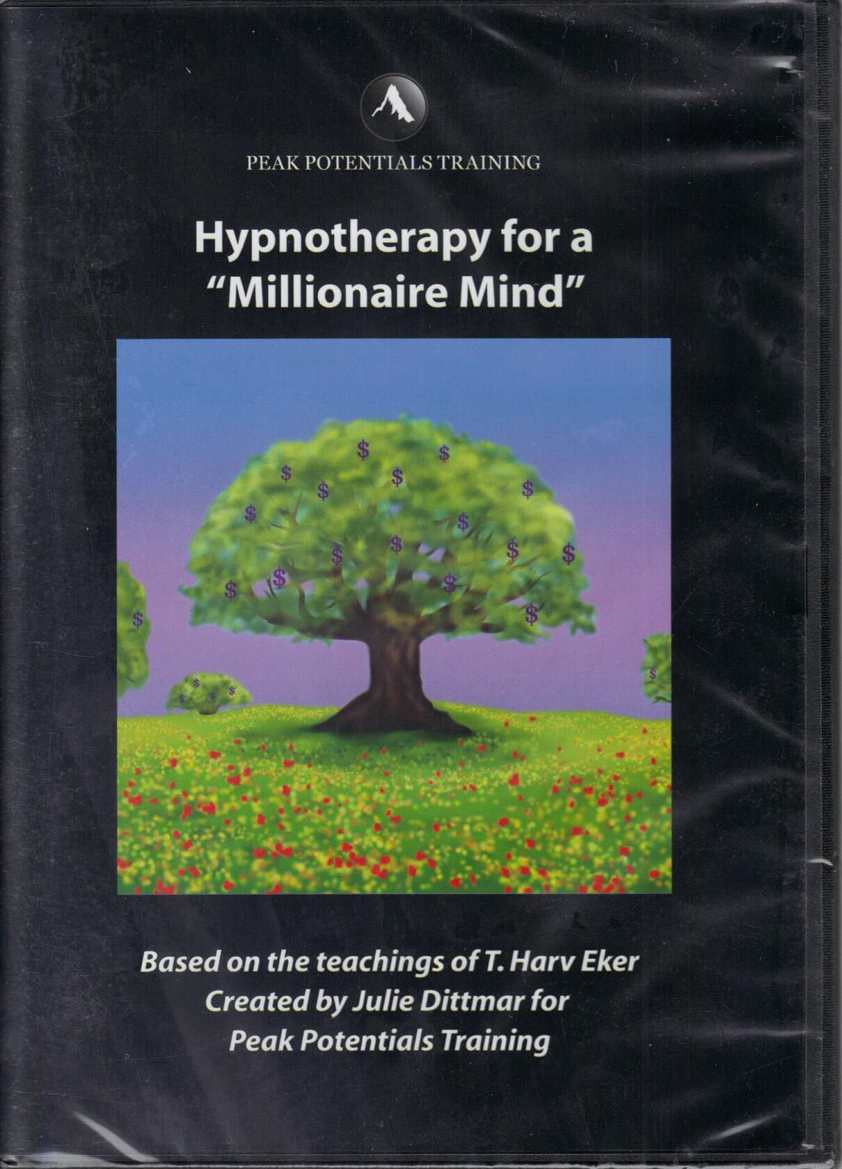 Hypnotherapy for a Millionaire Mind [DVD]