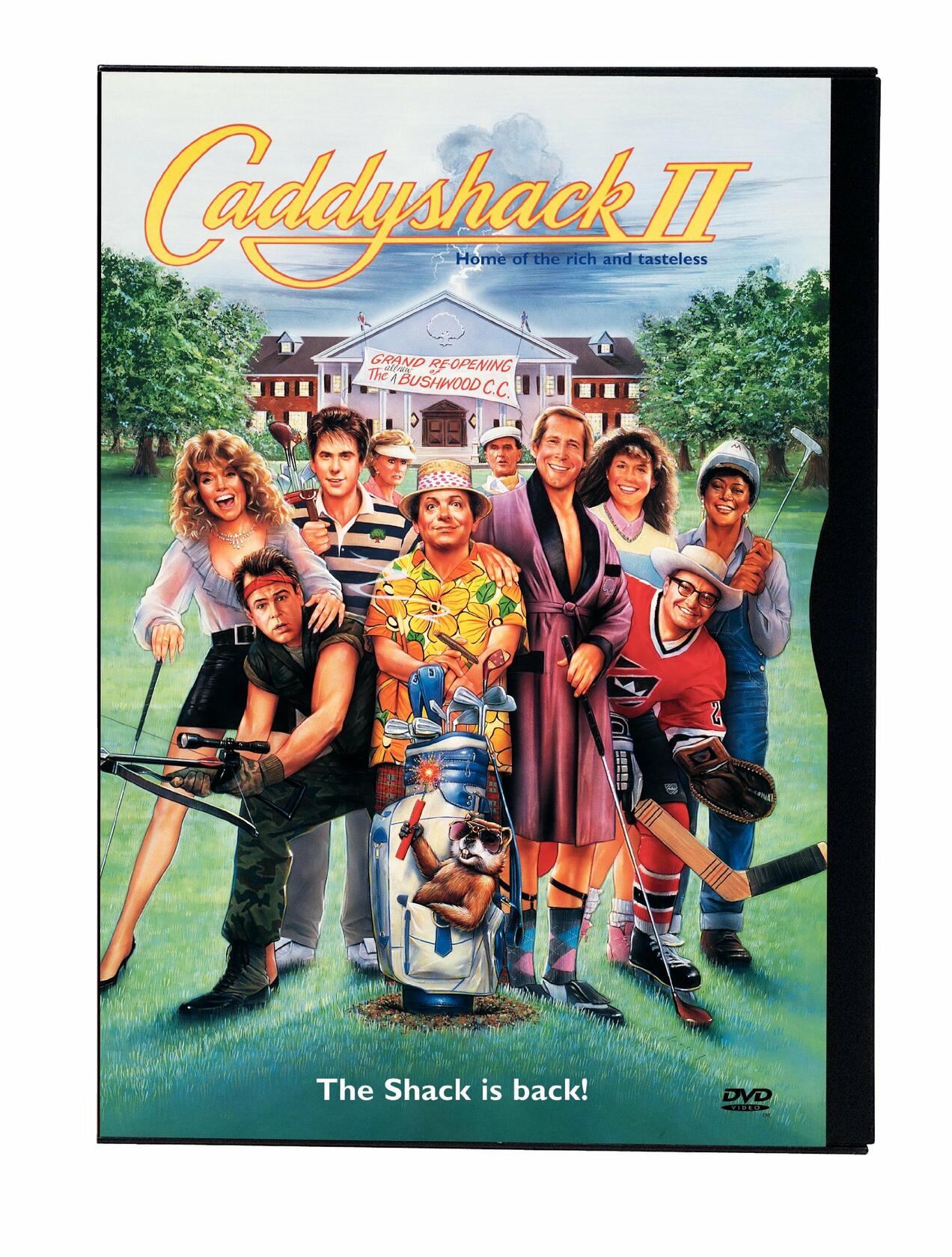 Caddyshack 2 (Full Screen) [DVD]