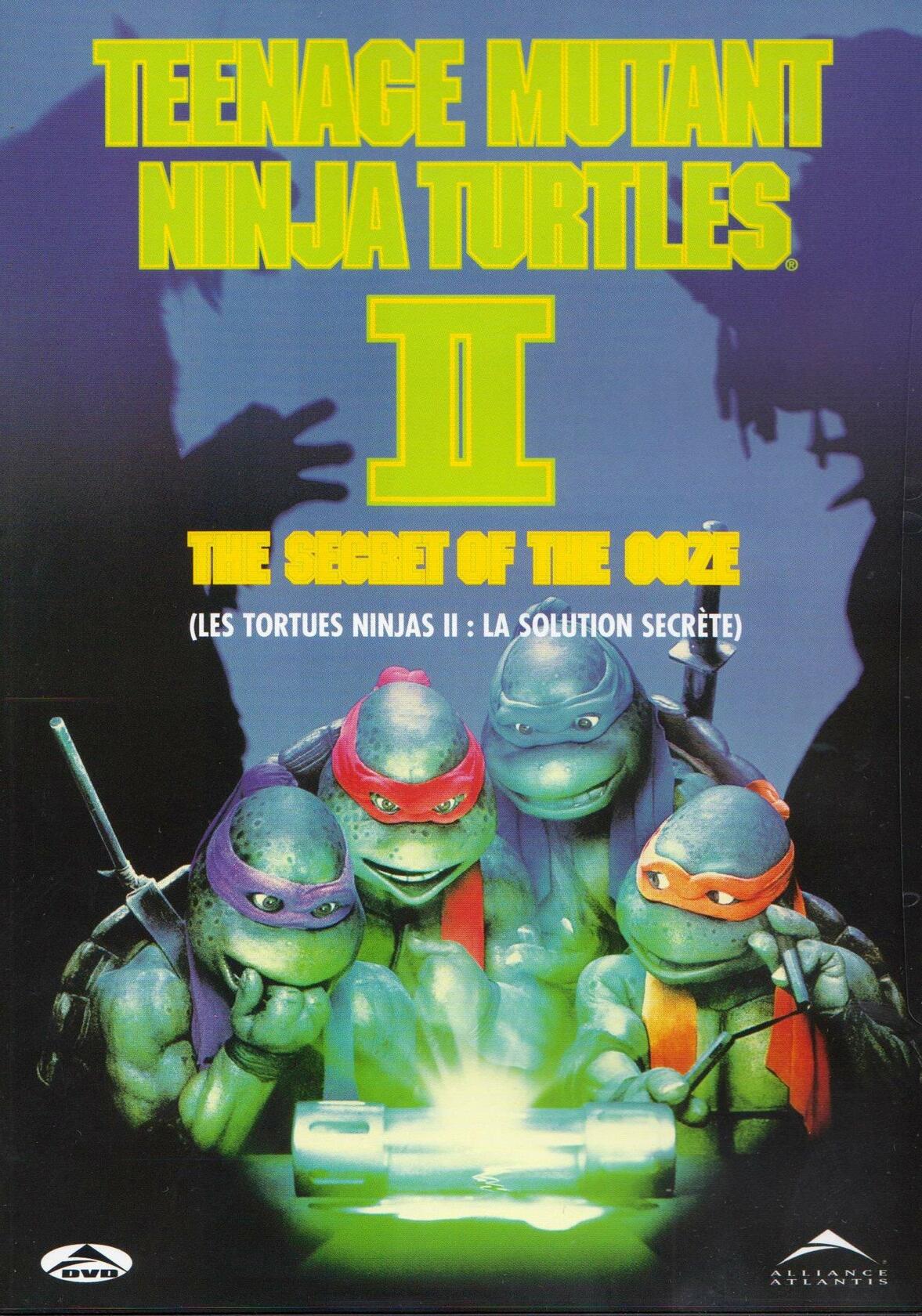 Teenage Mutant Ninja Turtles: Turtles 2 Secret [DVD] - Good