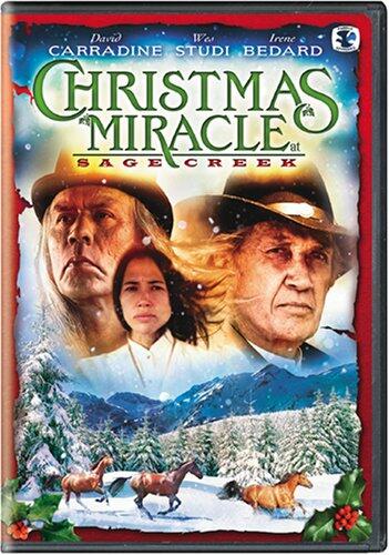 Christmas Miracle at Sage Creek [DVD] - Good