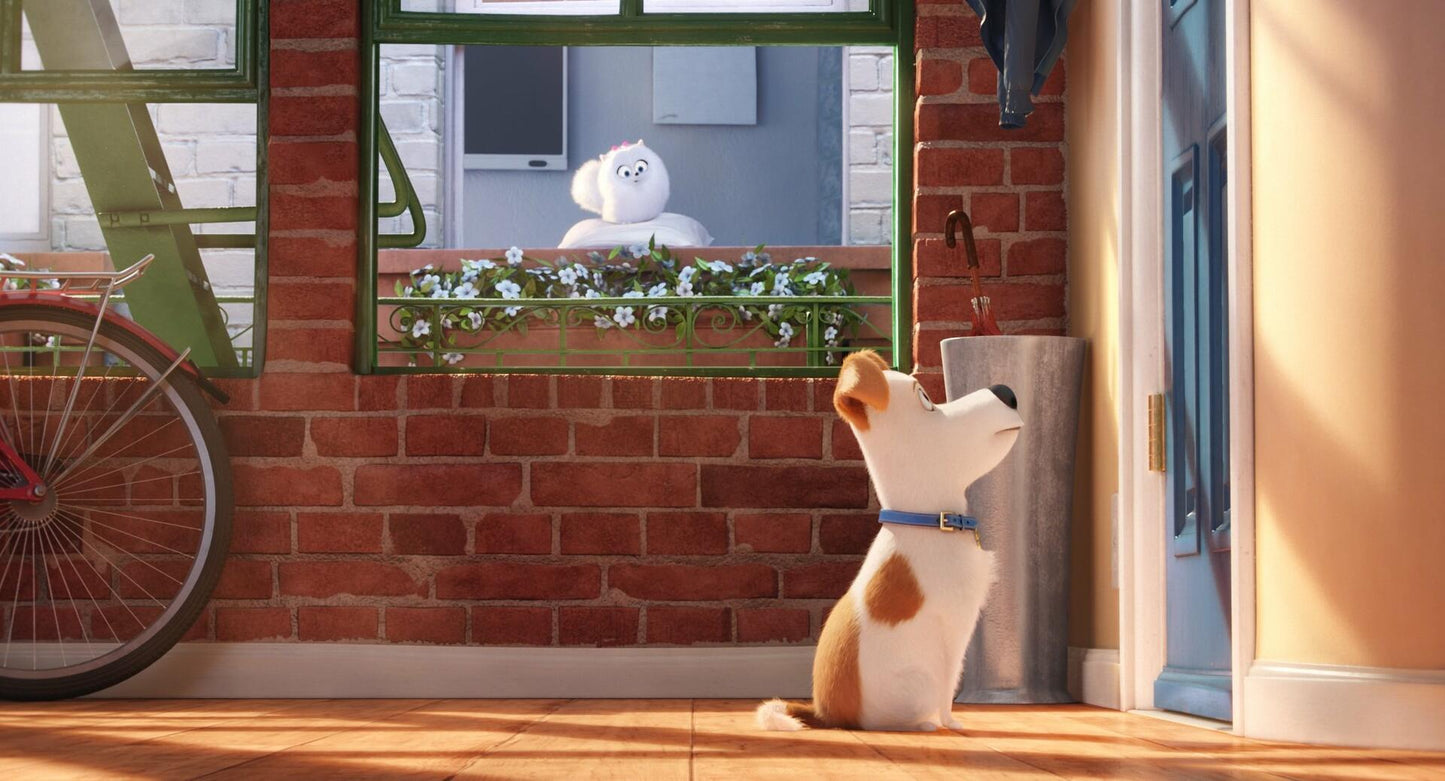 The Secret Life of Pets [DVD] - Good