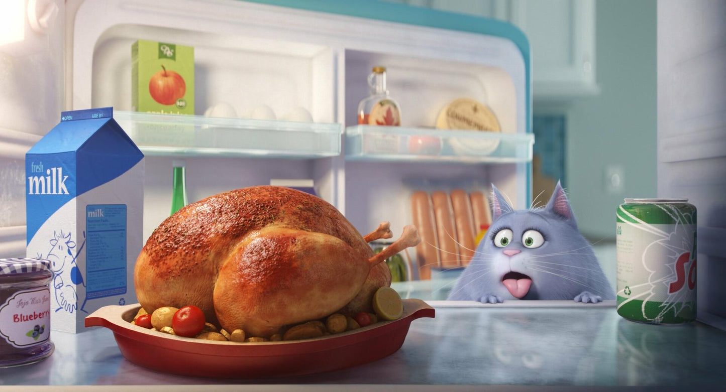 The Secret Life of Pets [DVD] - Good