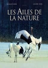 Les Ailes De La Nature (Version française) - Good
