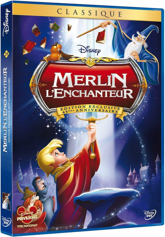 Merlin l'enchanteur [DVD] - Good