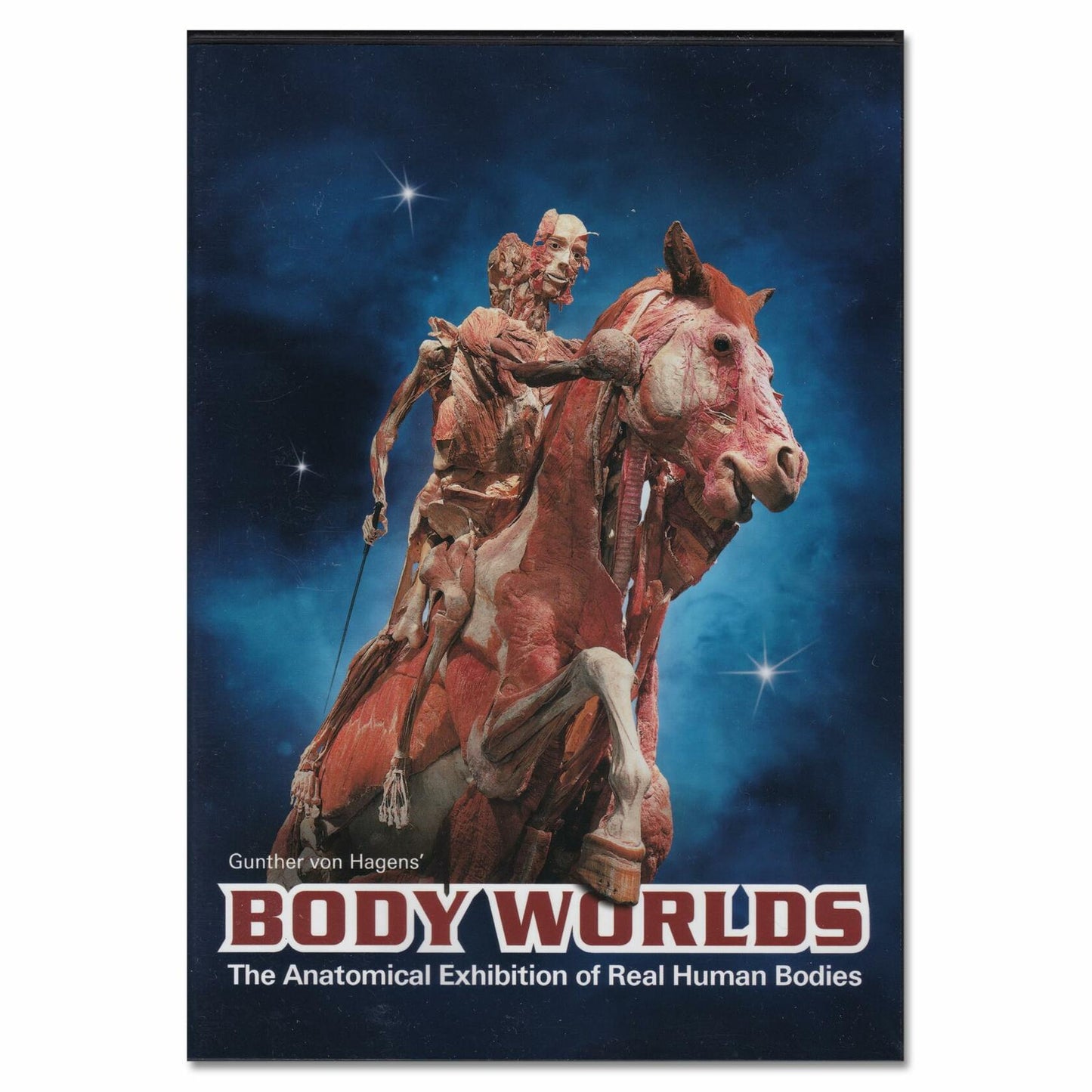 Body Worlds The Anatomical Exhibition of Real Human Bodies - DVD [DVD]