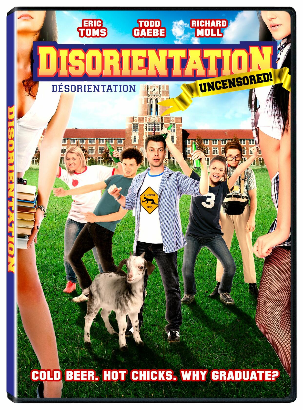 Disorientation (Bilingual) [DVD] - Good