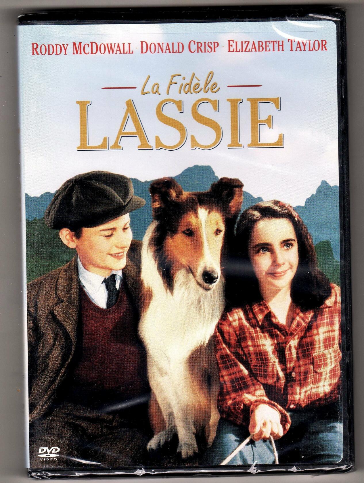 Lassie Come Home (FRENCH) (DVD) [DVD]
