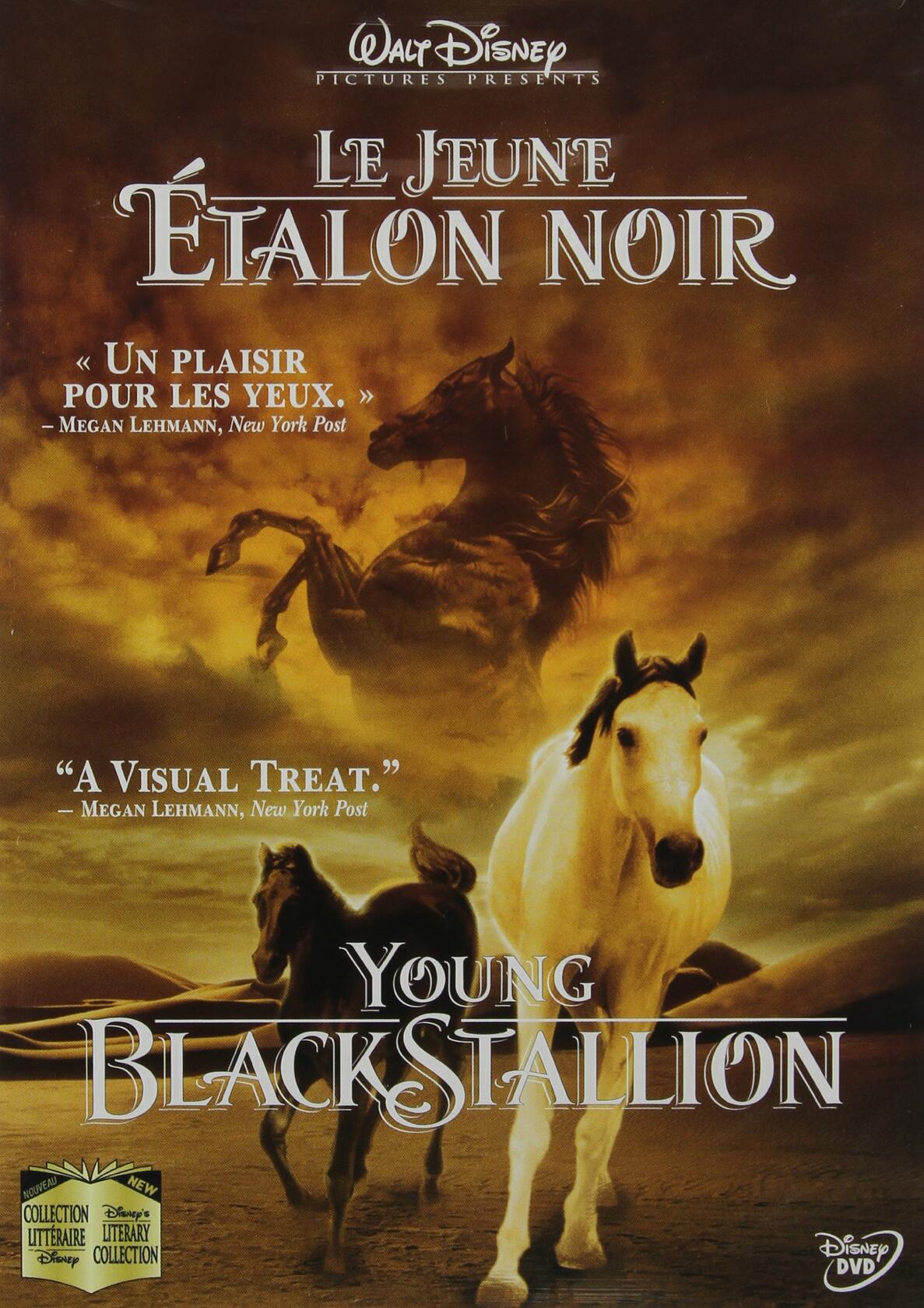 Young Black Stallion (Bilingual) (Version française) - Good