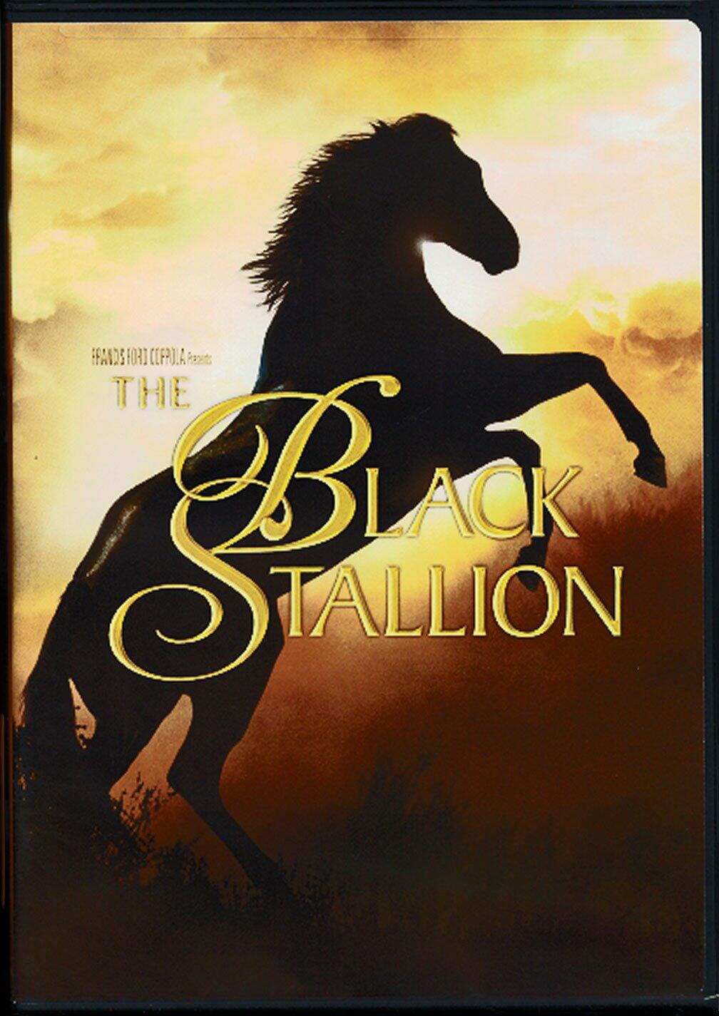 The Black Stallion (Widescreen/ Full Screen) [DVD]