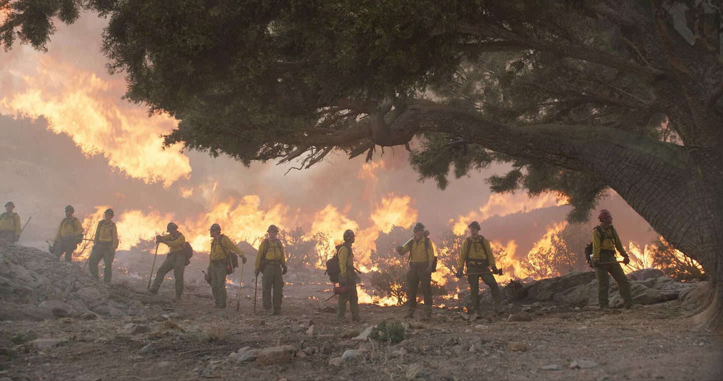 Only the Brave (Bilingual) [DVD] - Good