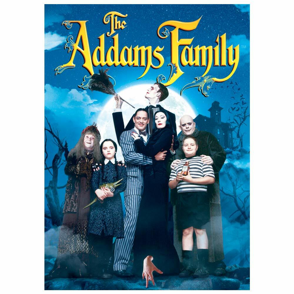 The Addams Family [DVD] - Good