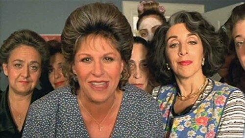 My Big Fat Greek Wedding (Widescreen/Full Screen) [DVD] - Good