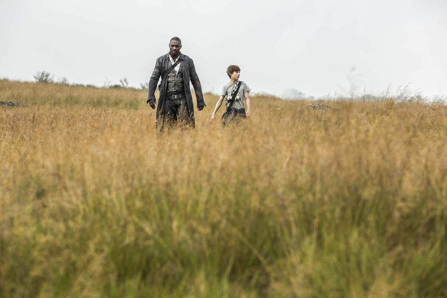 The Dark Tower (Bilingual) [DVD] - Very Good