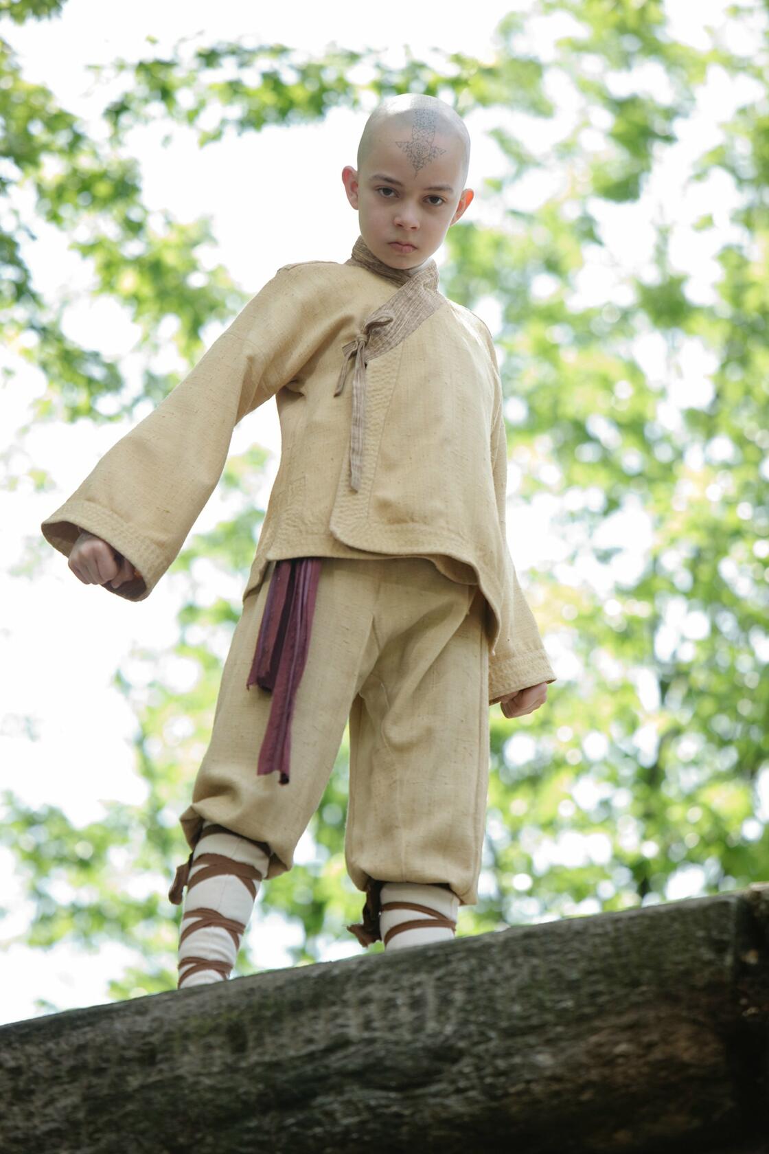 The Last Airbender / Le Dernier Maître de l'air (Bilingual) - Very Good