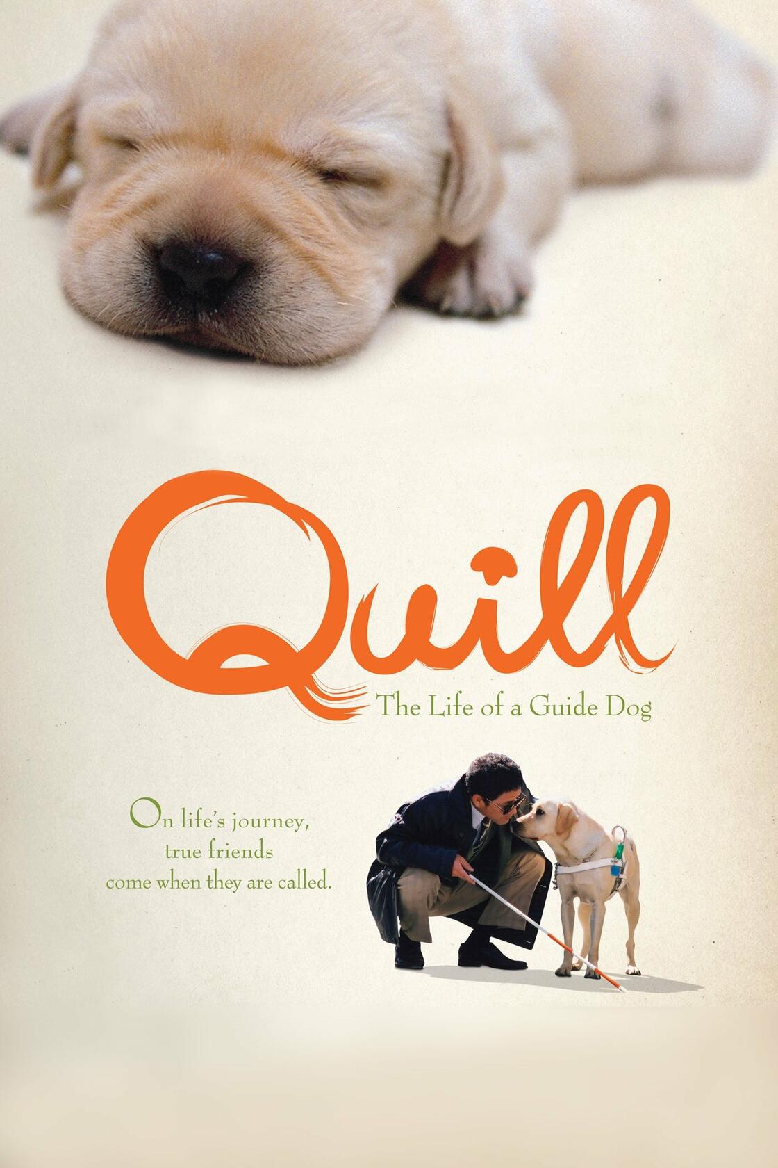 Quill [DVD] - Very Good