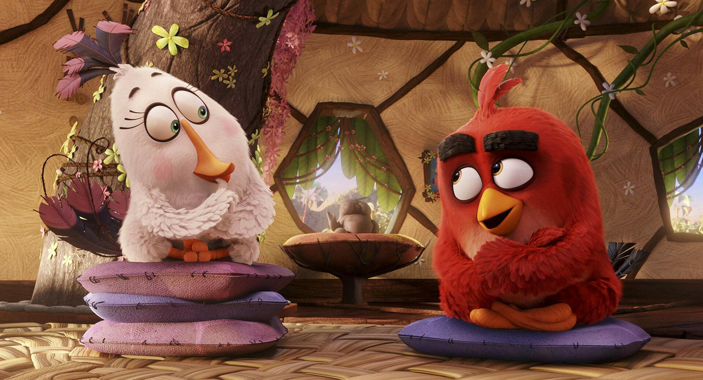 The Angry Birds Movie (Bilingual) [DVD] - Very Good
