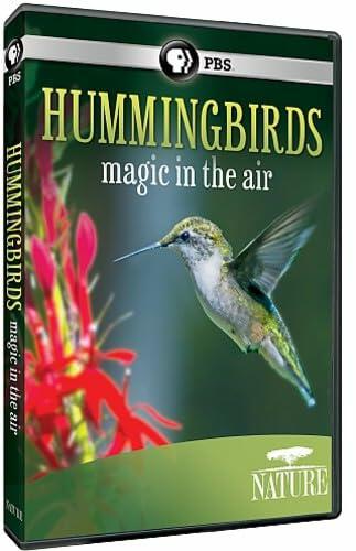 Nature: Hummingbirds [DVD] - Very Good